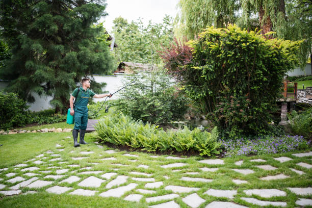 Pest Prevention Services in Hutchins, TX