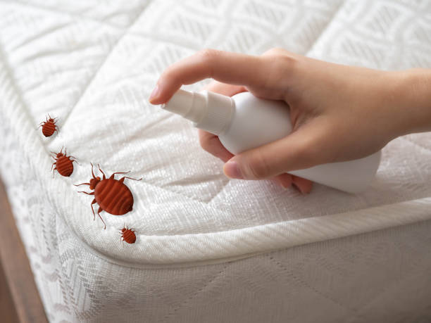 Best Pest Control Near Me  in Hutchins, TX