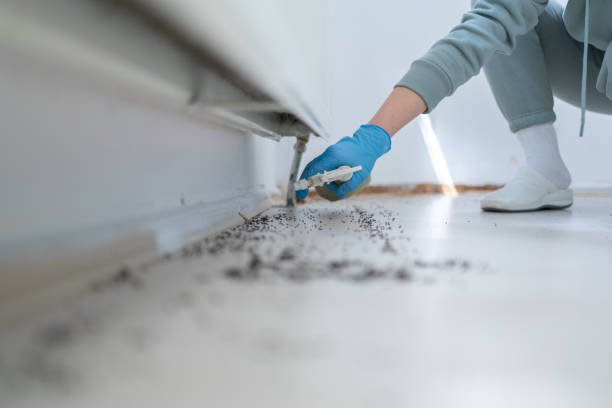Best Exterminator Services  in Hutchins, TX